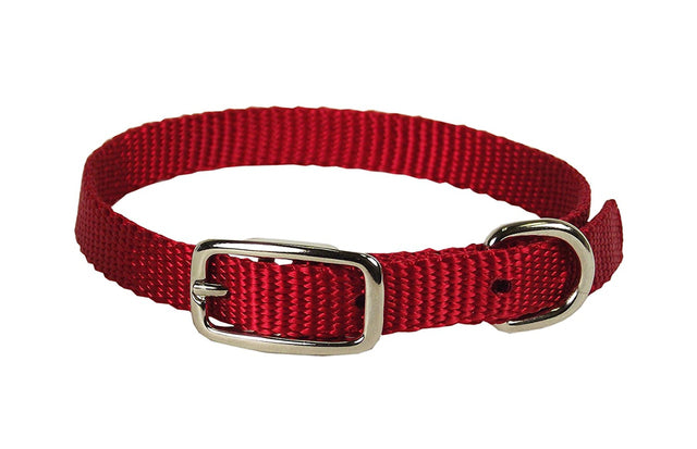 Hamilton Single Thick Nylon Collar w Buckle - Standard Series 3/8