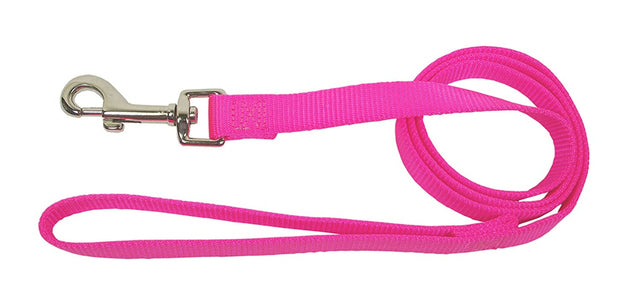 Hamilton Single Thick Nylon Lead - Sherbet Series
