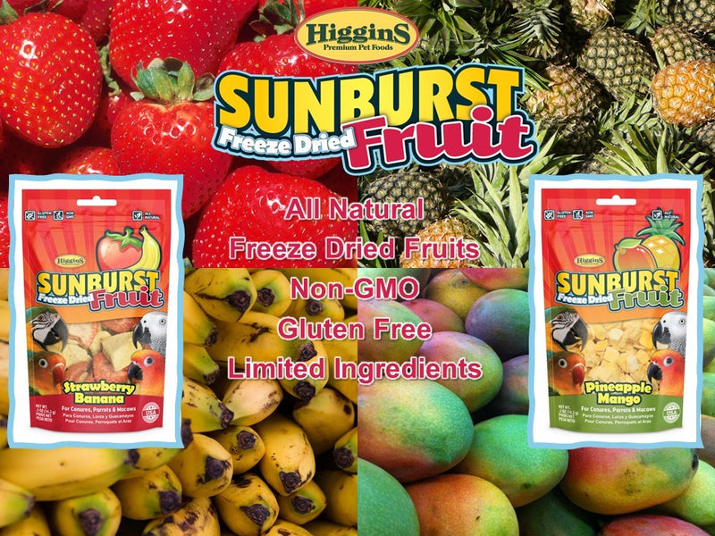 Higgins Sunburst Freeze Dried Fruit Strawberry Banana Treat
