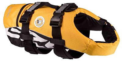 EzyDog DFD Life Jacket
