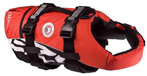 EzyDog DFD Life Jacket
