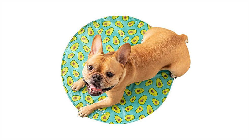 GF Pet Ice Mat Round
