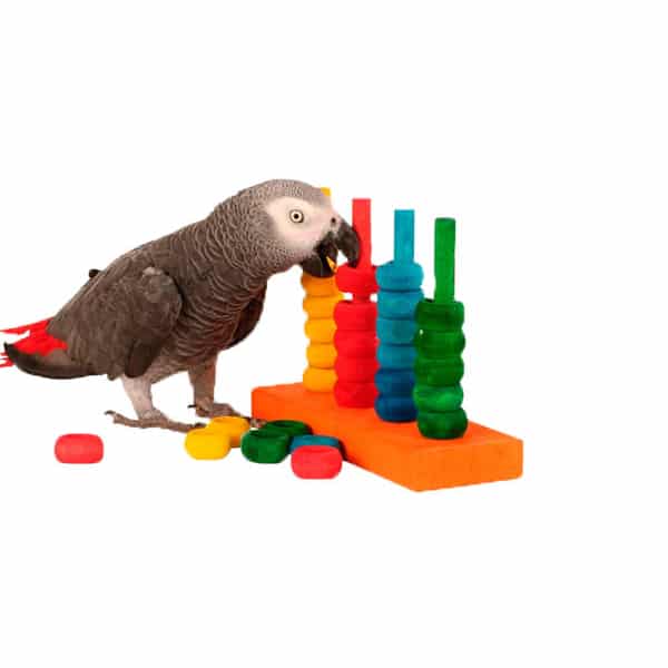 Zoo-Max The Teacher Medium Parrot Puzzle Toy - 213
