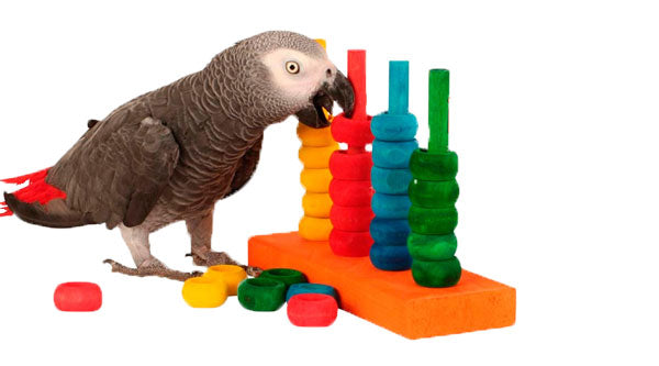 Zoo-Max 213A The Teacher Replacement Parts Parrot Toy - Exotic Wings and Pet Things
