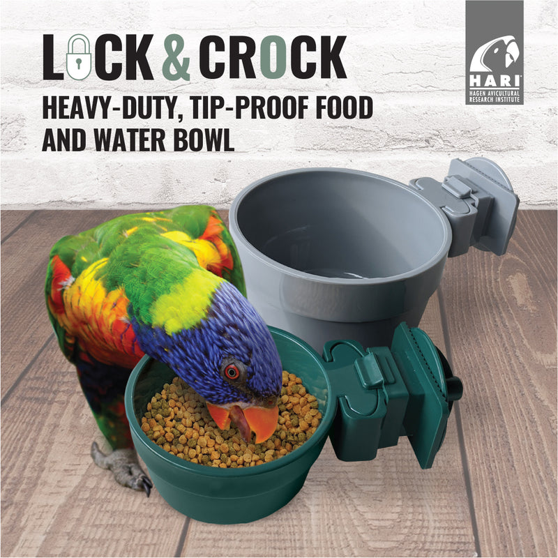 HARI Lock & Crock Bowl - 6oz / 20oz
