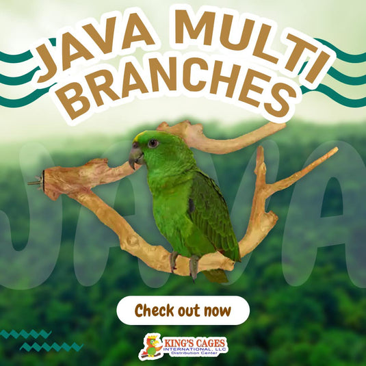 Java Multi-Branch Coffee Wood Parrot Perch - IMPERFECT