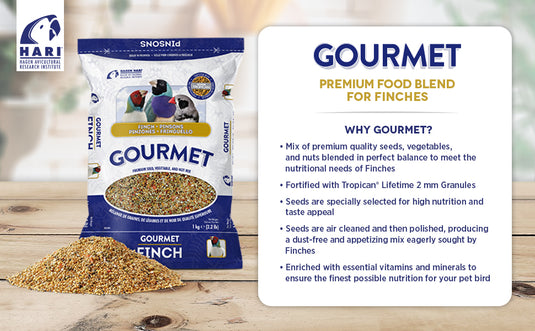 Gourmet Premium Seed Mix - Finch