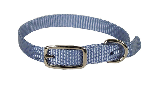 Hamilton Single Thick Nylon Collar w Buckle - Sherbet Series 5/8