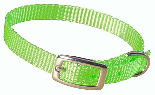 Hamilton Single Thick Nylon Collar w Buckle - Sherbet Series 3/8