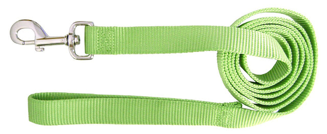 Hamilton Single Thick Nylon Lead - Sherbet Series
