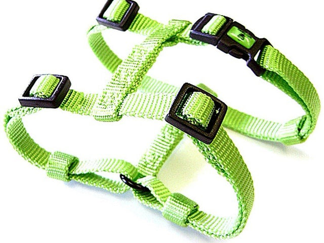 Hamilton Adjustable H Style Dog Harness - Sherbet Series
