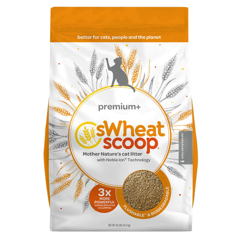 sWheat Scoop Premium+ Cat Litter - Clumping