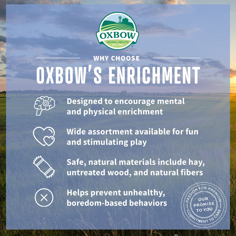 Oxbow Enriched Life 2 in 1 Fitness Ball
