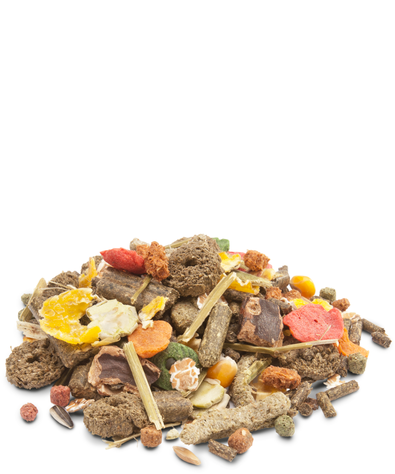 Versele-Laga Crispy Muesli Rabbit Food - Exotic Wings and Pet Things
