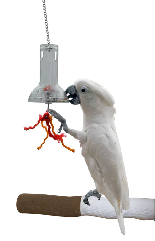 Featherland Paradise Foraging Capsule Creative Foraging Systems Large Parrot Foraging Toy
