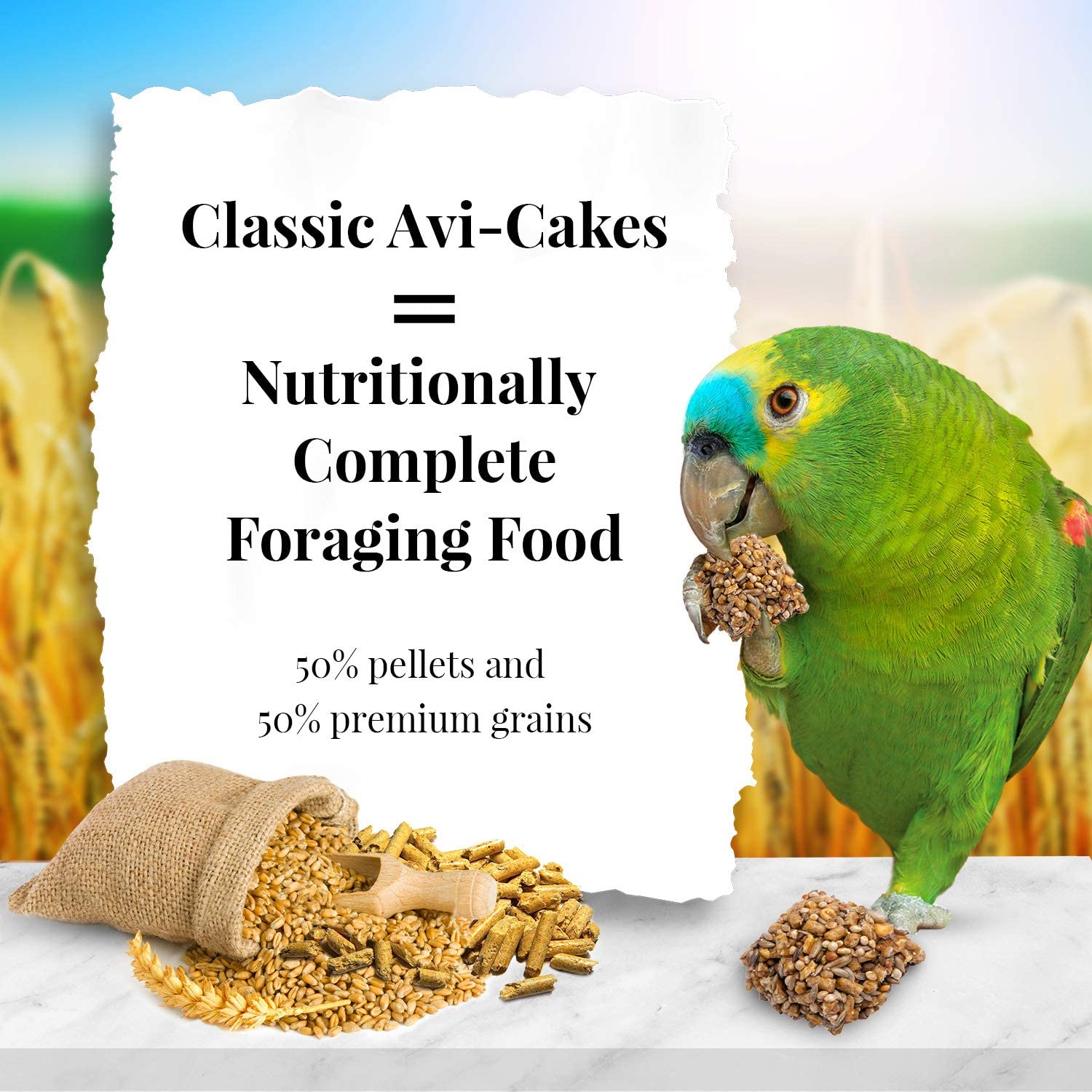 Lafeber's Classic Avi-Cakes Parrot 12 oz (283.5 g) – Exotic Wings and ...