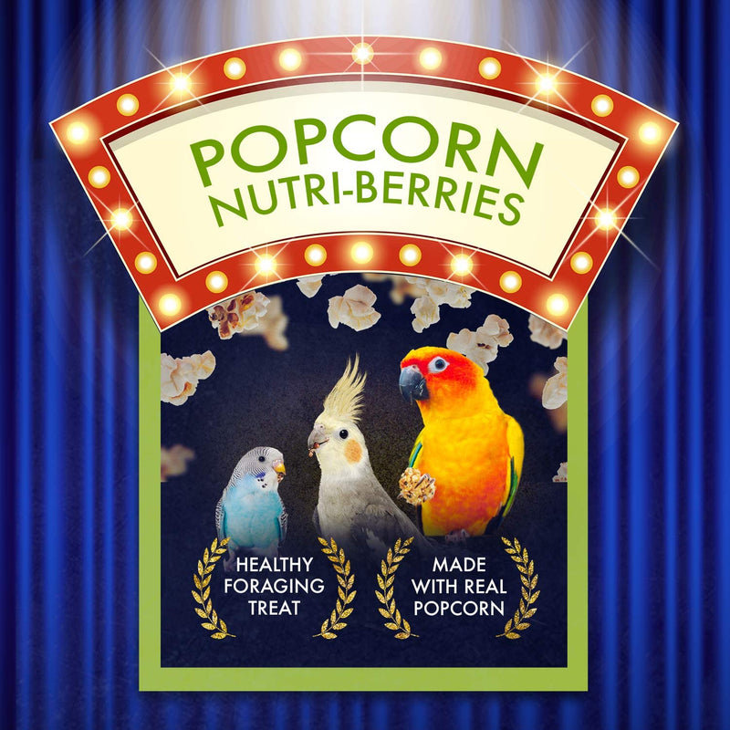 Lafeber's Popcorn Nutri-Berries - Small Bird
