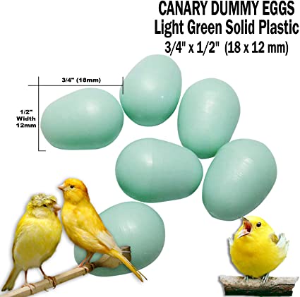 2GR Fake Dummy Training Bird Eggs - Canaries - Parrot - Parakeet -  Pigeon - Hen
