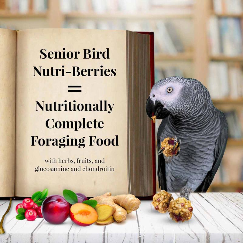 Lafeber's Senior Blend Nutri-Berries Parrot
