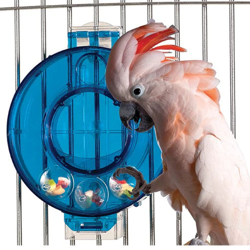 Featherland Paradise Mastermind Foraging Circle Large Parrot Foraging Toy
