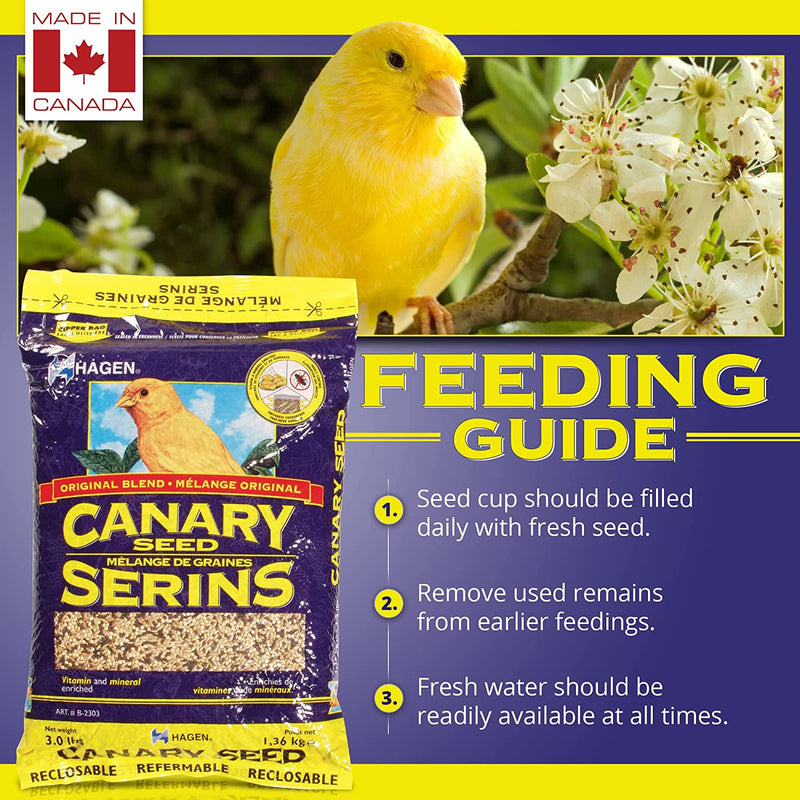 Hagen Staple VME Seed - Canary
