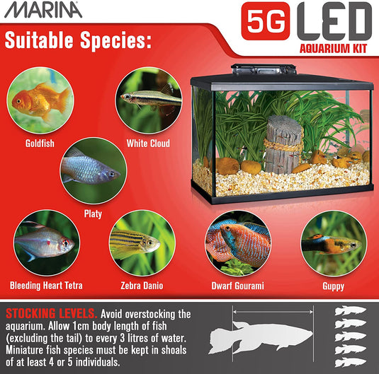 Marina LED Glass Aquarium Kit (5,10,20 gal) | Store Pickup Only