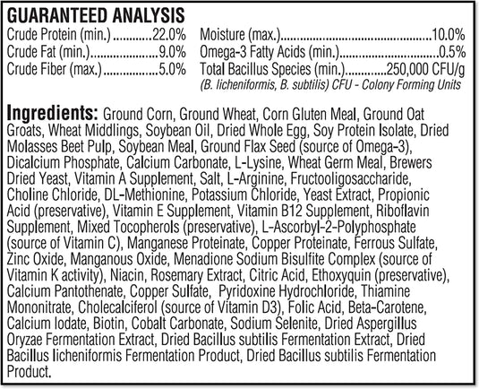 Kaytee Exact Hand-Feeding Formula for Baby Birds