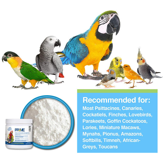 Prime Vitamin Mineral Amino Acid Supplement - Probiotic for All Birds