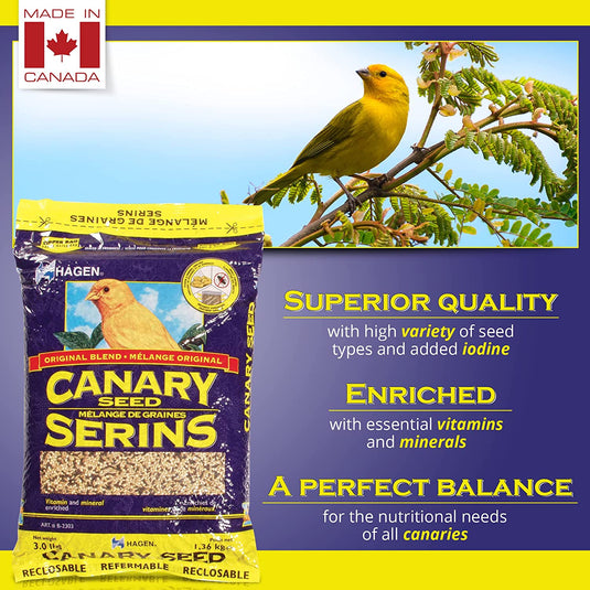 Hagen Staple VME Seed - Canary 🍁