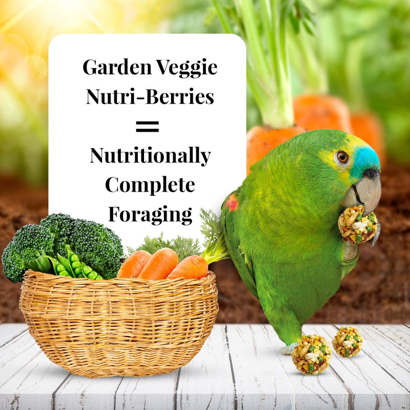 Lafeber's Garden Veggie Gourmet Nutri-Berries for Parrots - Exotic Wings and Pet Things
