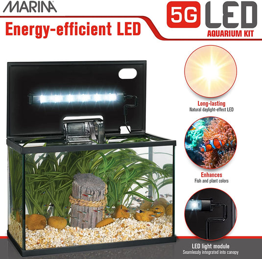 Marina LED Glass Aquarium Kit (5,10,20 gal) | Store Pickup Only