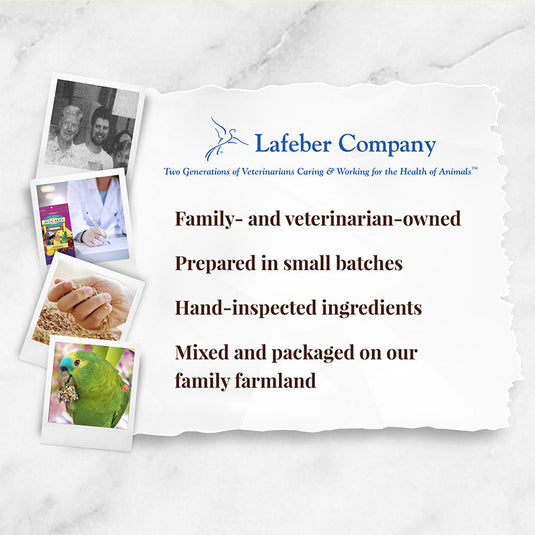 Lafeber's Nutri Start Hand Feeding Formula