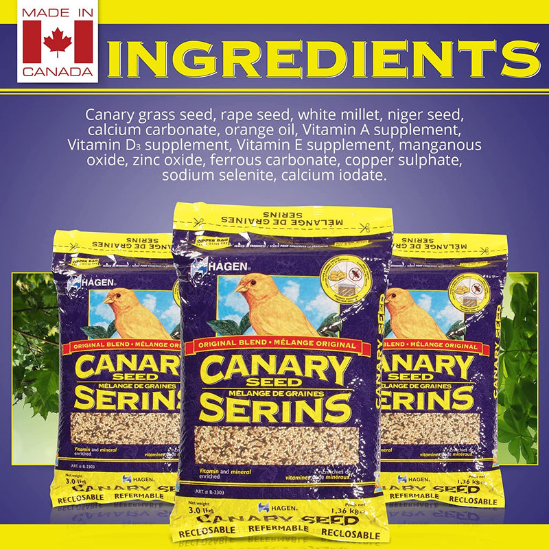 Hagen Staple VME Seed - Canary 🍁
