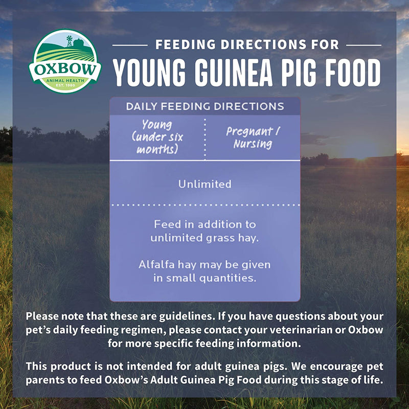 Oxbow Essentials Young Guinea Pig Food
