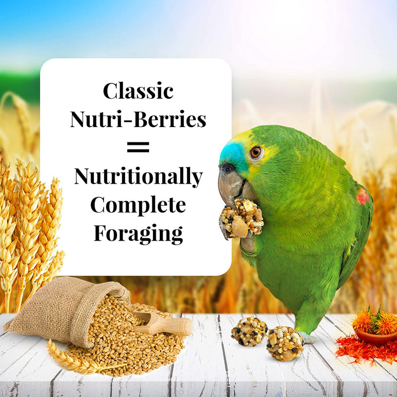 Lafeber's Classic Nutri-Berries for Parrots - Exotic Wings and Pet Things
