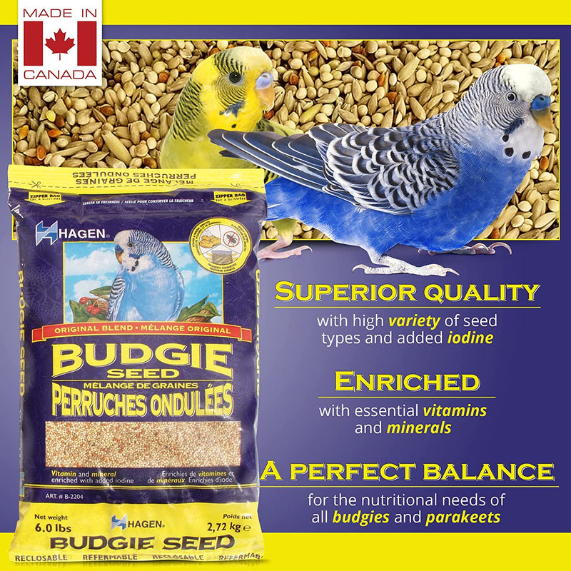 Hagen Staple VME Seed - Budgie 🍁
