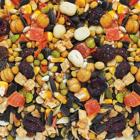 Gourmet Premium Seed Mix - Parrot