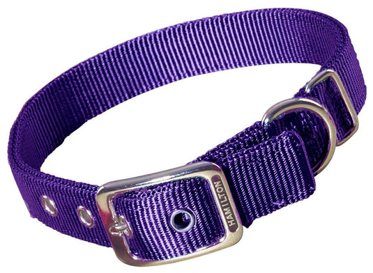 Hamilton Double Thick Nylon Collar w Buckle - Standard Series 1" (18-32"L)