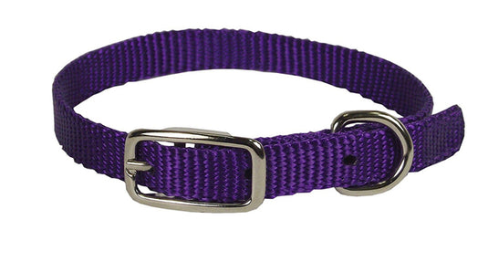 Hamilton Single Thick Nylon Collar w Buckle - Standard Series 3/8" (10-14"L)