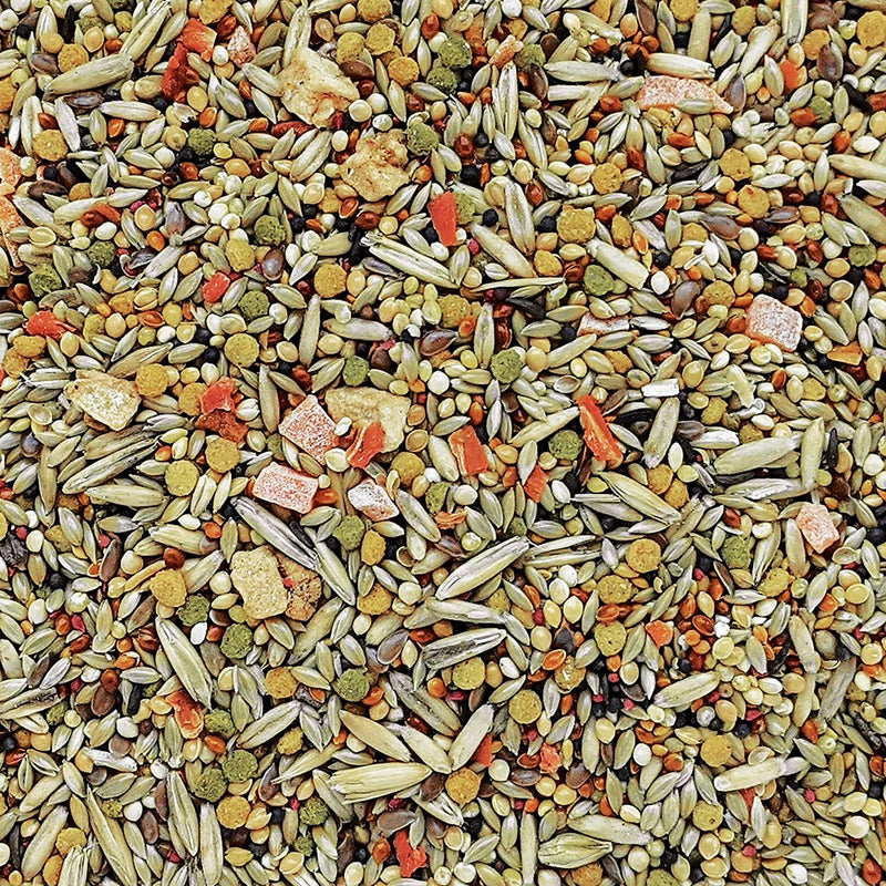 Gourmet Premium Seed Mix - Budgies 🍁
