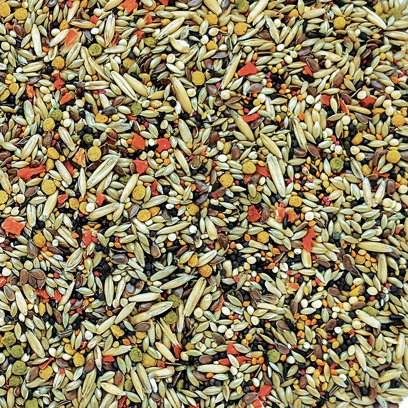 Gourmet Premium Seed Mix - Canary
