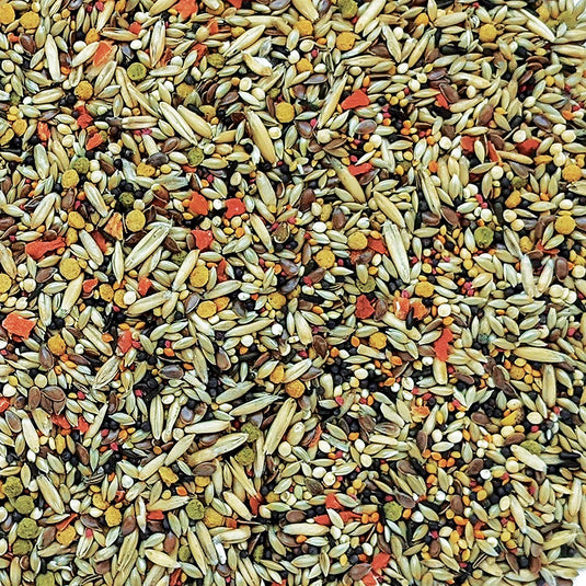 Gourmet Premium Seed Mix - Canary