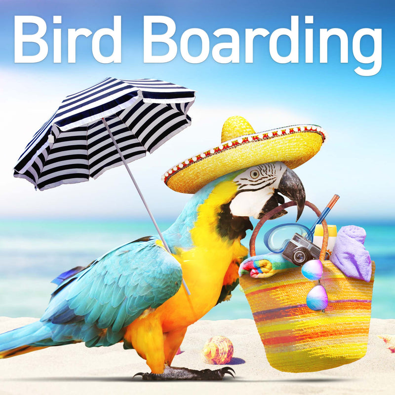 Bird Boarding
