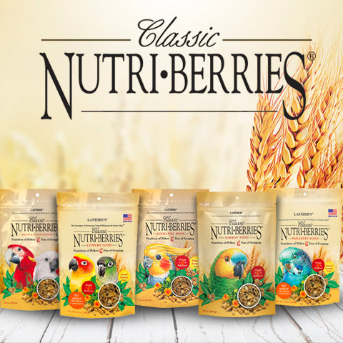 Lafeber's Classic Nutri-Berries Parrot
