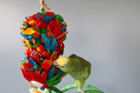 HARI Smart Play Enrichment Parrot Toy Corn Silk Cascade
