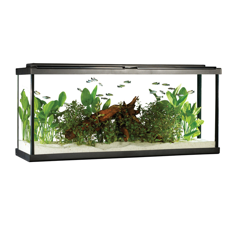 Fluval 55 Premium Aquarium Kit with LED - 55 US Gal (208 L) | Store Pickup Only
