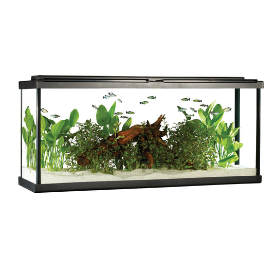 Fluval 55 Premium Aquarium Kit with LED - 55 US Gal (208 L) | Store Pickup Only