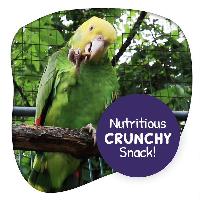 Little Foragers Treats Chili Snaps - Parrot
