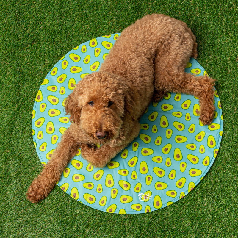 GF Pet Ice Mat Round
