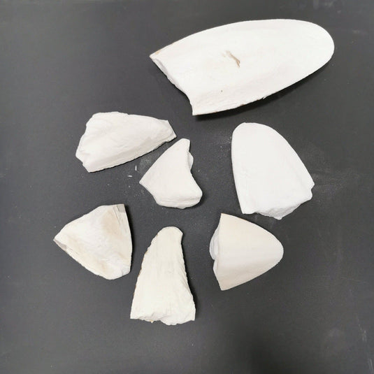 Bulk Cuttlebone Broken Pieces Organic Unbleached / Unprocessed